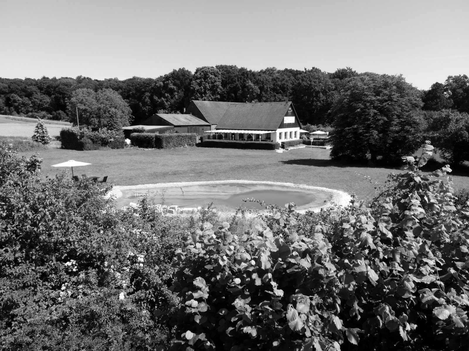 Das PRADO in Nottuln mit Wiese und Teich